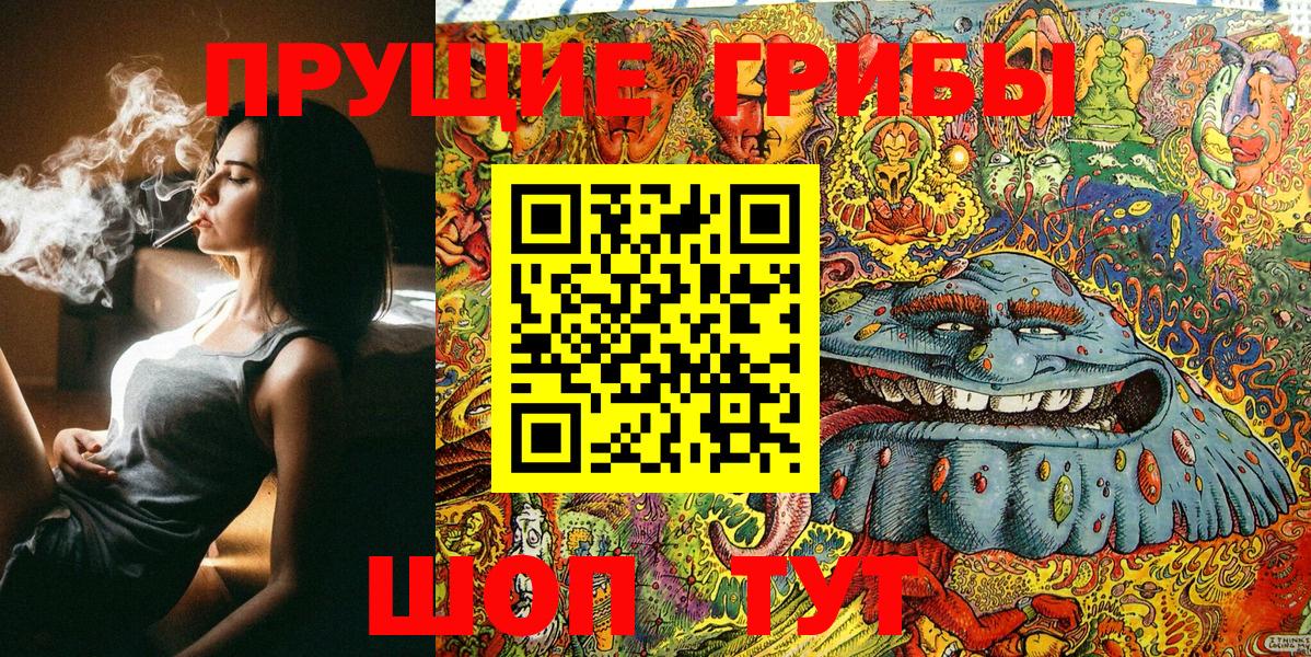 Сланцы  Галлюциногенные грибы GOLDEN TEACHER  Вход с VPN 